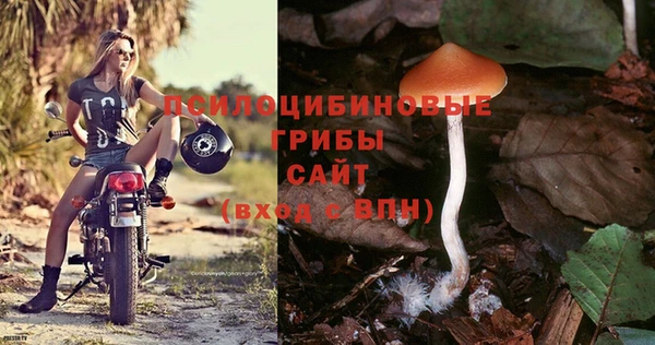ECSTASY Алексеевка