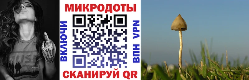 закладки  Кропоткин  Псилоцибиновые грибы мухоморы 